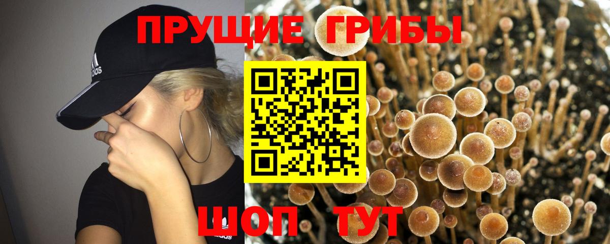 Галлюциногенные грибы Magic Shrooms Отрадный