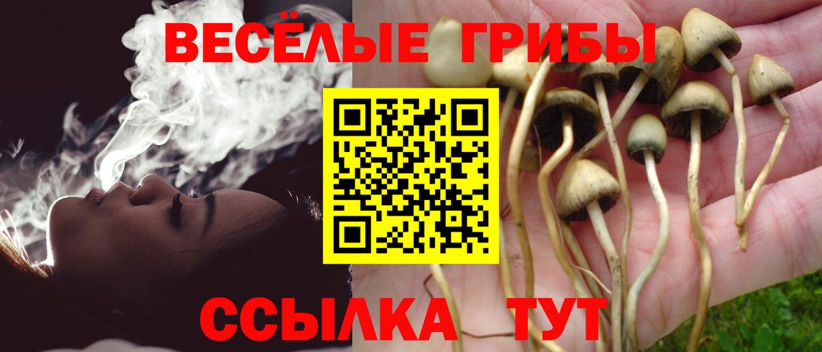 сколько стоит  Вход с VPN  Отрадный  Галлюциногенные грибы ЛСД 