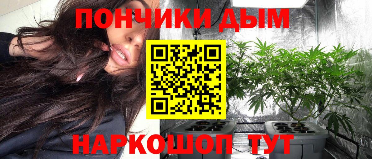 МАРИХУАНА план Отрадный
